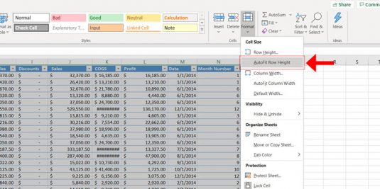 Joseph Bisharat - Blog - AutoFit Excel Cells 06