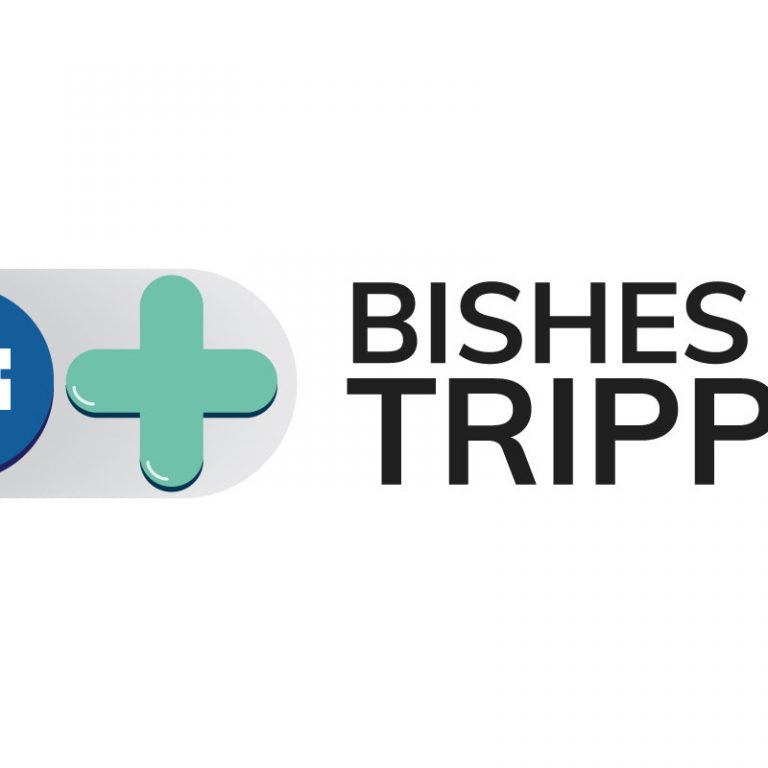 Joseph Bisharat - Project - Bishes Be Trippin - Logo