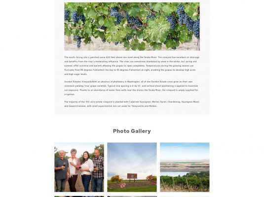 Joseph Bisharat - Projects - Gordon Wines - About