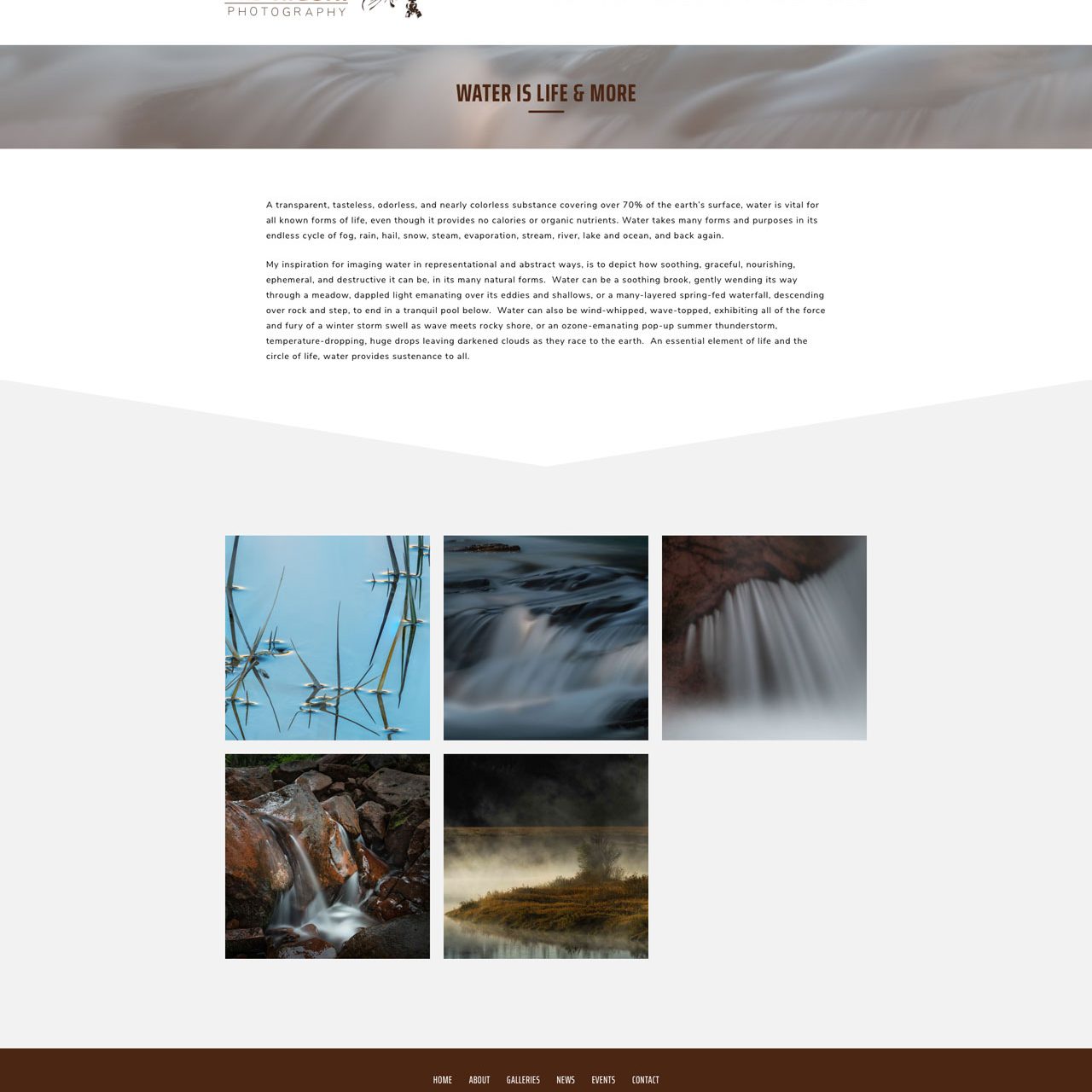 Joseph Bisharat - Projects - Ted Rigoni - Water Life