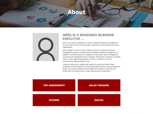 Joseph Bisharat - Projects - Excel Sales Solutions - About